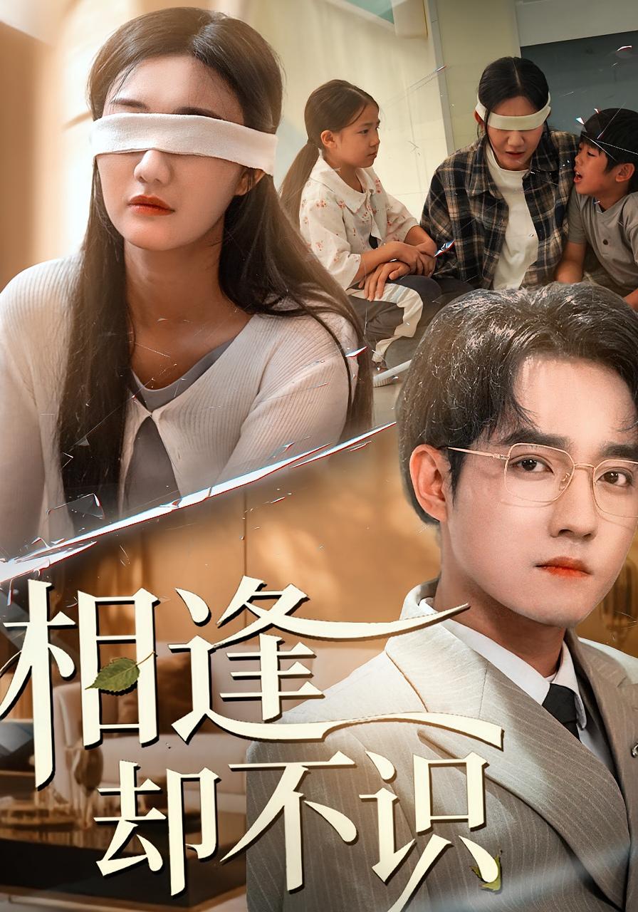 相逢却不识(全集)