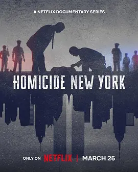 凶杀重案实录：纽约第二季(全集)