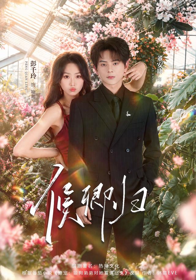 候卿归(全集)